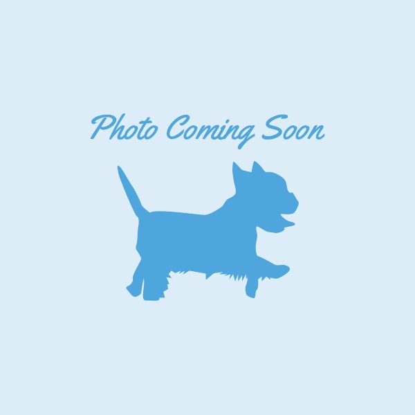 Photo coming soon!